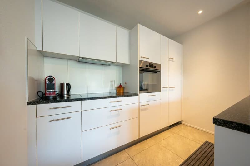 Moderne 2.5-Zimmerwohnung 1. OG Mitte (2)