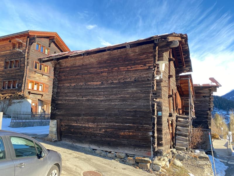 Écurie Arnika à Fiesch (2)