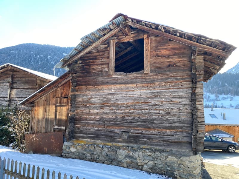 Écurie Arnika à Fiesch (3)