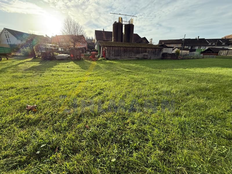 Terrain de construction spacieux avec ferme (5)