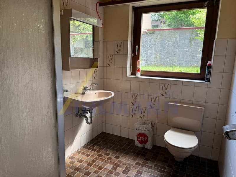 Charmantes, freistehendes 6.5-Zimmer Einfamilienhaus (10)