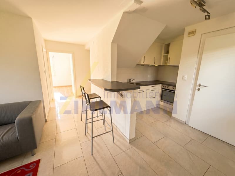 Charmantes 6.5-Zimmer-Einfamilienhaus mit separater Einliegerwohnung (9)