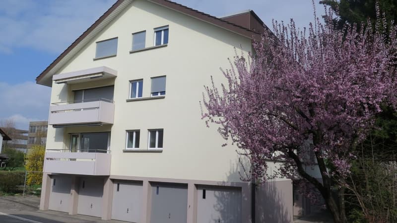 3-Zimmerwohnung im Hochparterre - kürzlich renoviert (1)
