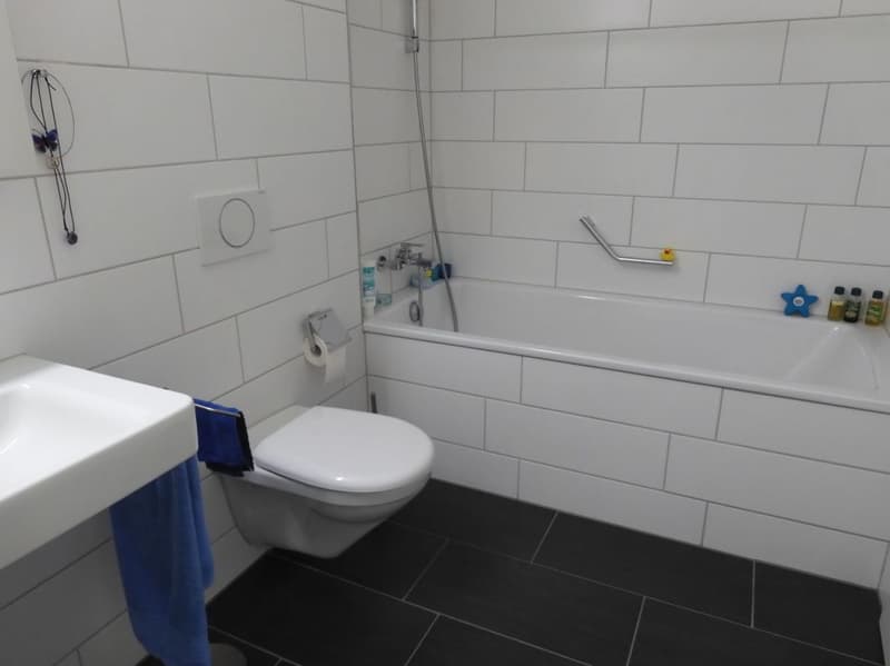 Topmoderne Wohnung - 3.5 Zi-Wohnung Bahnhofsnah, sonnig und geräumig (8)