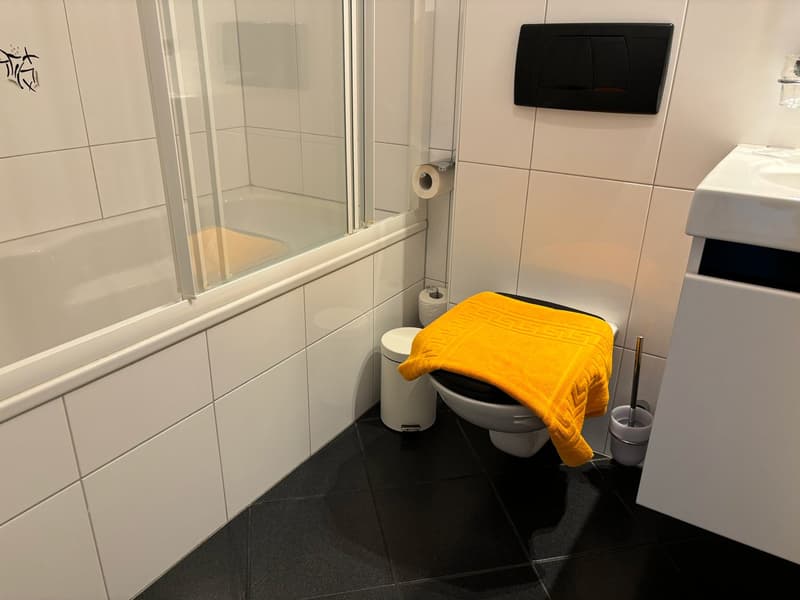 2.5-Zimmer-Wohnung - möbliert - mit Balkon in Buchs Zürich (20)