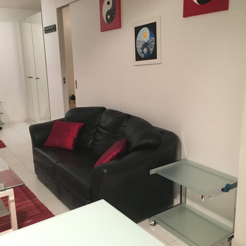 Möblierte 2.5-Zimmer- Wohnung - Balkon, eigene Waschraum, Lift - in Buchs Zürich (13)
