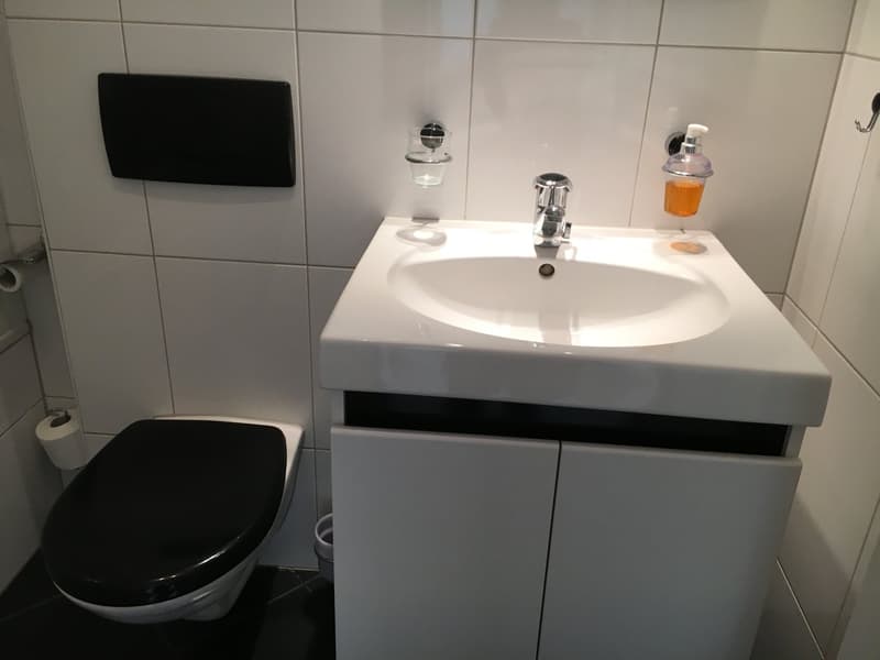 Möblierte 2.5-Zimmer- Wohnung - Balkon, eigene Waschraum, Lift - in Buchs Zürich (5)