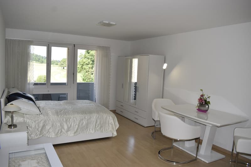 Möbliert 3.5 Zimmer Wohnung mit Balkon in 8108 Dällikon ZH (1)