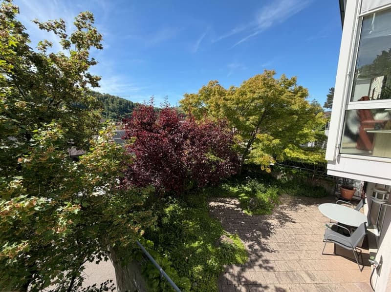 Gepflegte Doppelhaushälfte an leicht erhöhter, sonniger Lage mit unverbaubarer Aussicht (12)