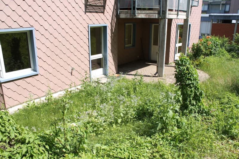 Gartenwohnung mit Blick in den Wald und fixen Nebenkosten (1)