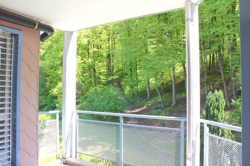 Sonnige Wohnung am Waldrand mit fixen Nebenkosten (7)