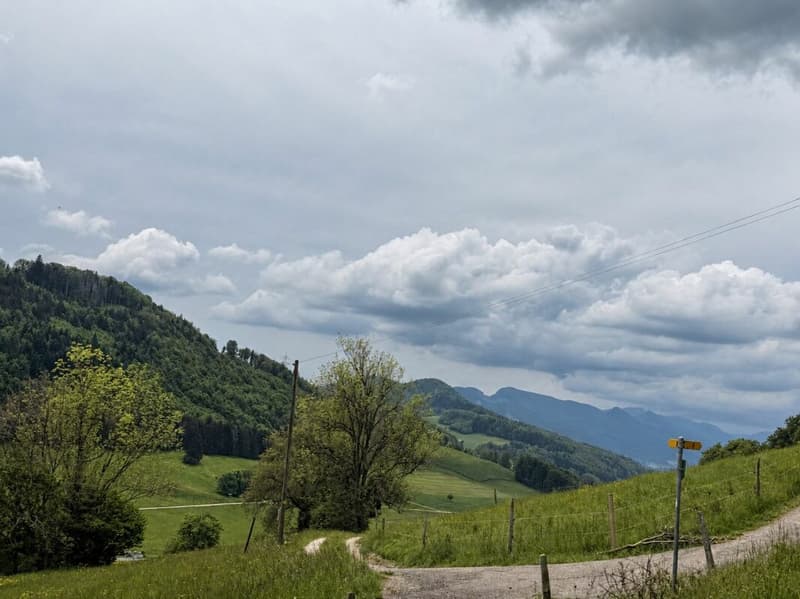 Einfaches Wochenendhäuschen - KEIN FESTER WOHNSITZ MÖGLICH (3)