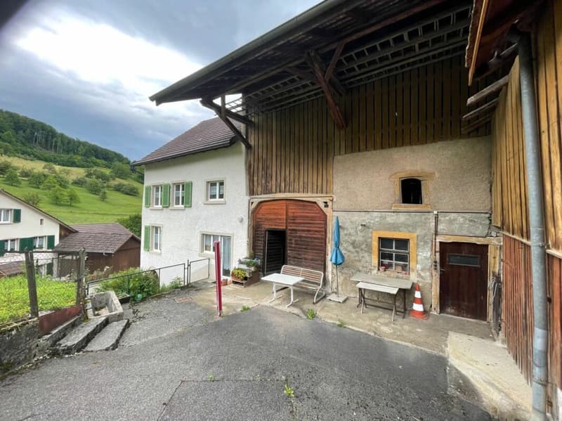 Grosszügige Liegenschaft mit 2 Wohneinheiten und Potenzial (11)