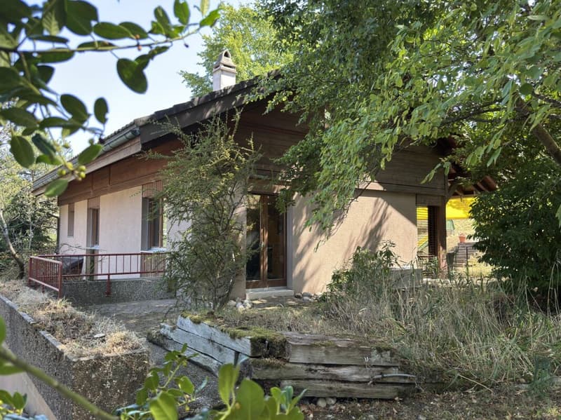 Familienparadies an der Landwirtschaftszone (2)