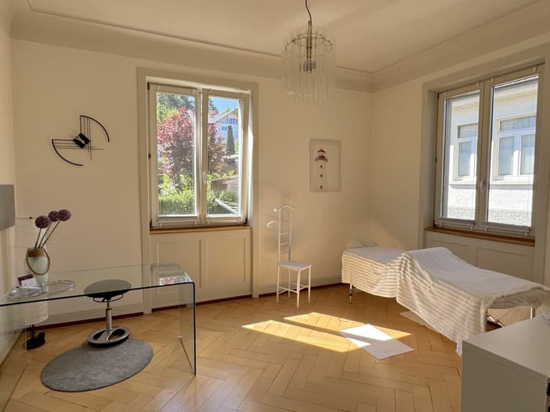 Helle Gewerbefläche im stilvollen Herrschaftshaus (1)
