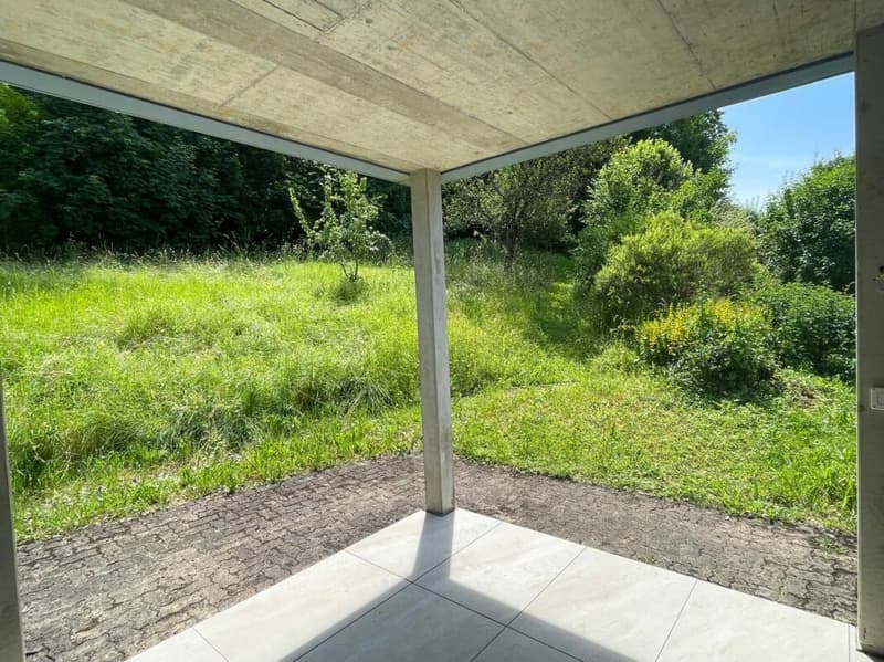 Sonnig, ruhig und mit grossem gedeckten Sitzplatz und Gartenanteil (12)