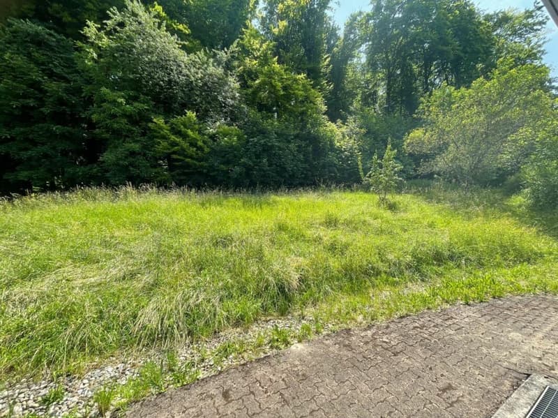 Sonnig, ruhig und mit grossem gedeckten Sitzplatz und Gartenanteil (13)