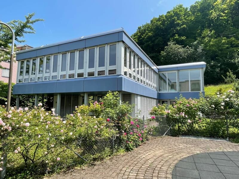 Sonnig, ruhig und mit grossem gedeckten Sitzplatz und Gartenanteil (14)