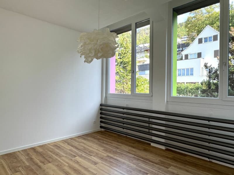 Aussergewöhnliches Wohnen mit Loft - Industrial Charme und eigenem Garten (11)