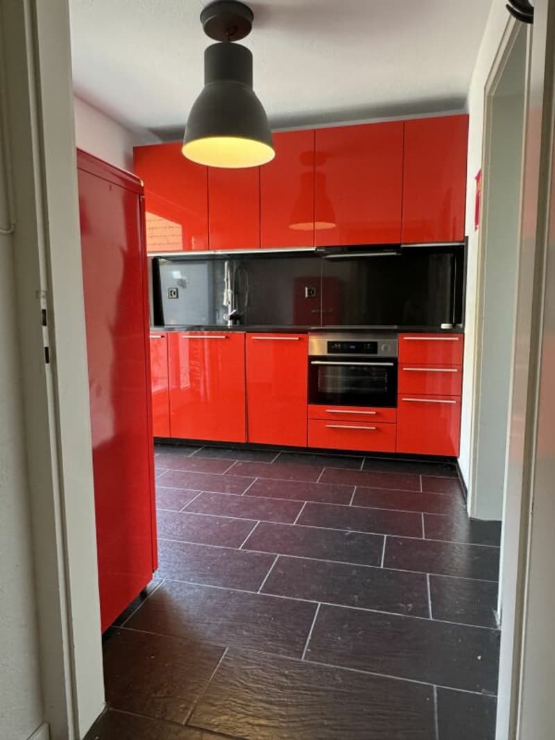 Aussergewöhnliches Wohnen mit Loft - Industrial Charme und eigenem Garten (19)