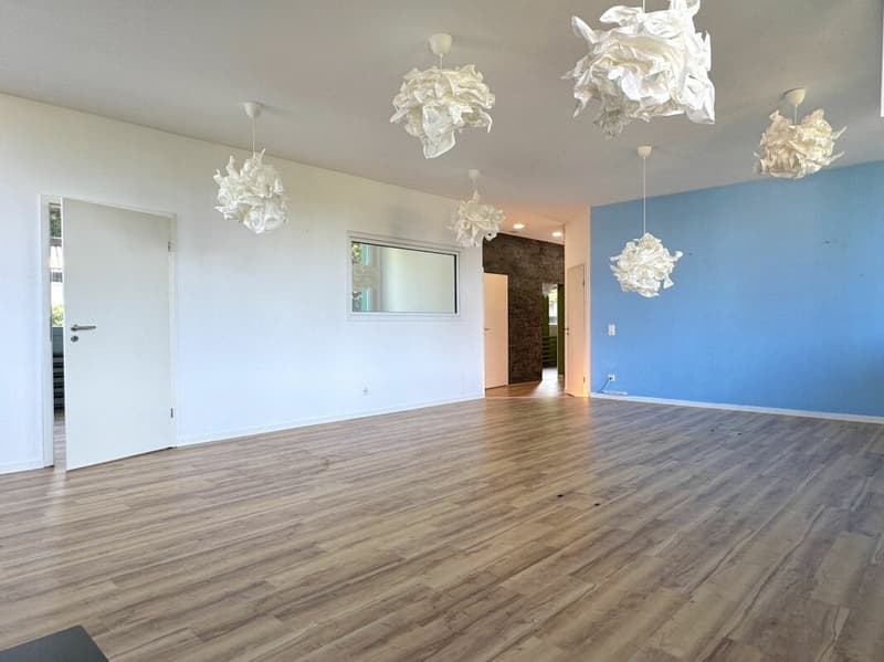 Aussergewöhnliches Wohnen mit Loft - Industrial Charme und eigenem Garten (10)