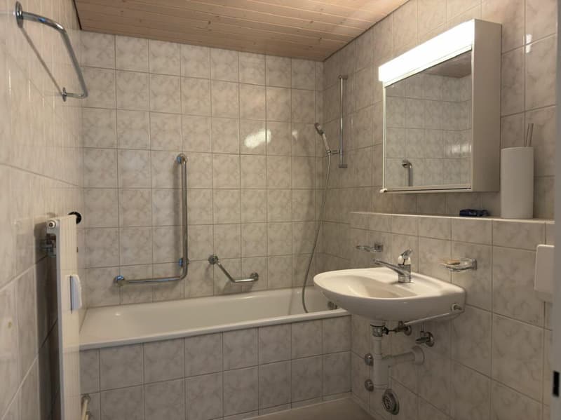Charmante 3.5 Zi Wohnung (5)