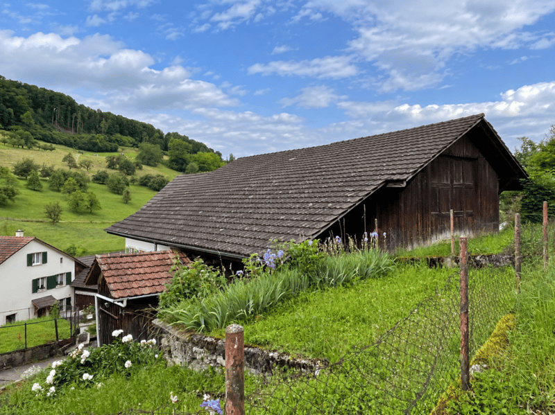 Grosszügige Liegenschaft mit 2 Wohneinheiten und Potenzial (3)