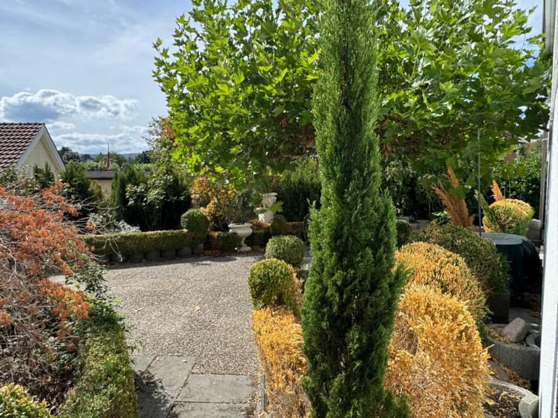 Aussergewöhnliches Wohnen mit Loft - Industrial Charme und eigenem Garten (19)