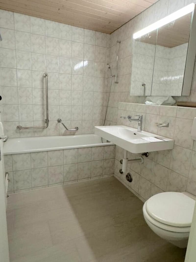 Helle und gemütliche 3.5 Zi-Wohnung (7)