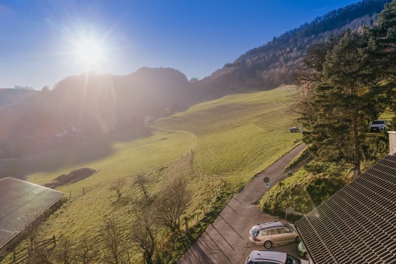 Grundstück im idyllischen Weiler Hauenstein-Ifenthal (8)