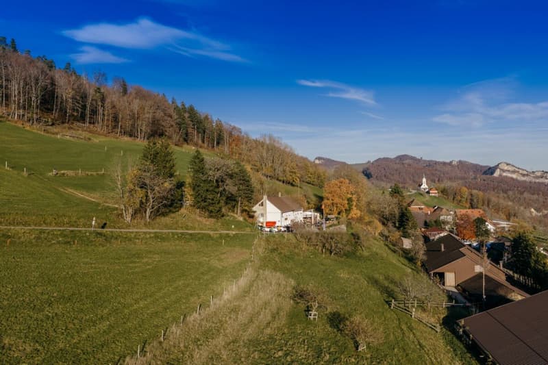 Grundstück im idyllischen Weiler Hauenstein-Ifenthal (2)