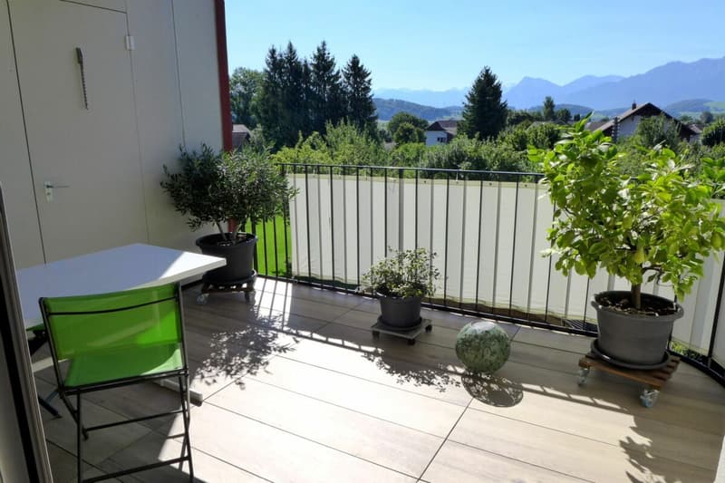 Appartamento di 4 1/2 locali al piano mansardato con galleria (4)