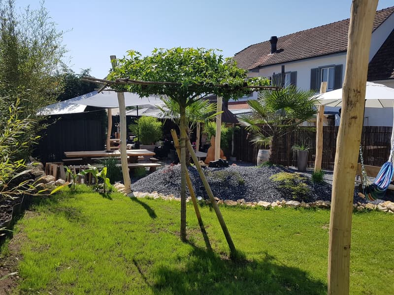 green lawn, plants, trees, wooden benches, tables, patio umbrellas, swings, barrel