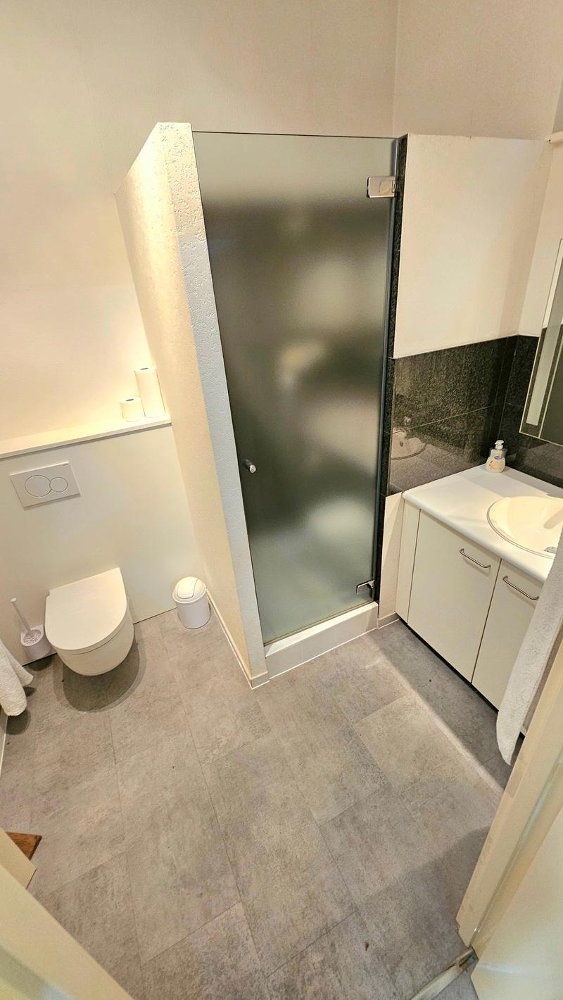 Bathroom with a frosted glass shower door, vanity with sink, and toilet. The floor is tiled with a gray stone-like material.
