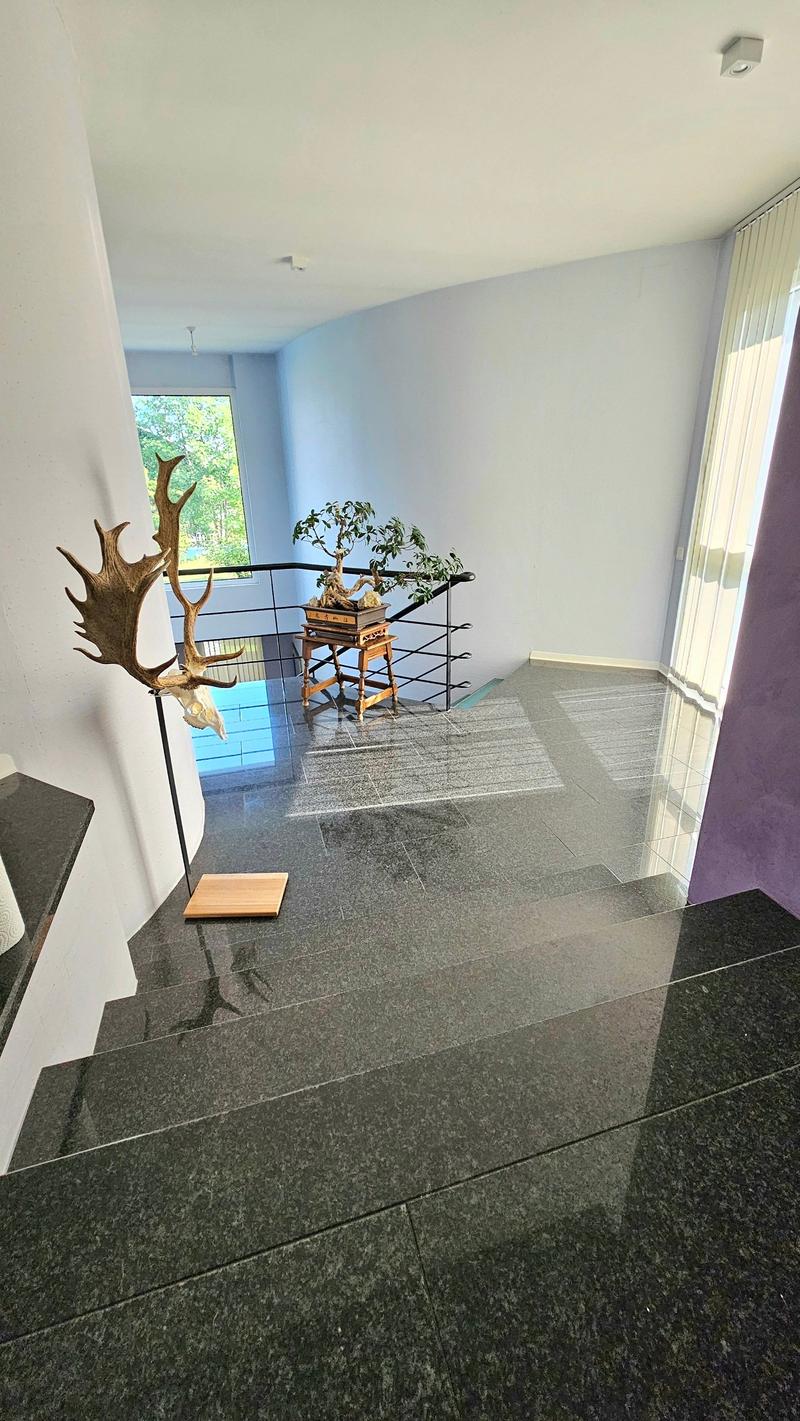 The image shows a modern interior with a staircase leading up to a balcony or terrace. The walls are painted in a light blue color, and the floor is covered with dark granite tiles. There is a decorative antler display and a small bonsai tree on a stand n