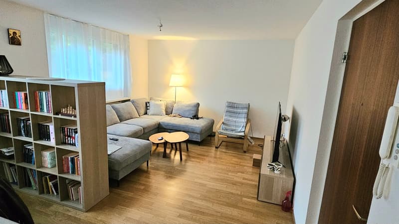 living room, sofa, couch, side table, lamp, TV, coffee table, book shelf, picture frame, curtains