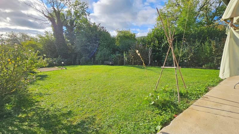 open grassy lawn, with shrubs and trees surrounding, pathway, small pond, small pathway with plants