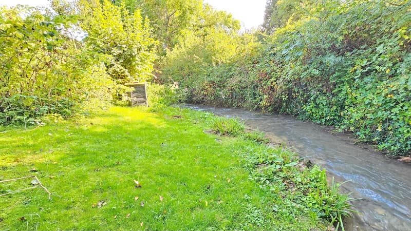 A narrow waterway with green grass on the sides, bushes and trees, a trash can