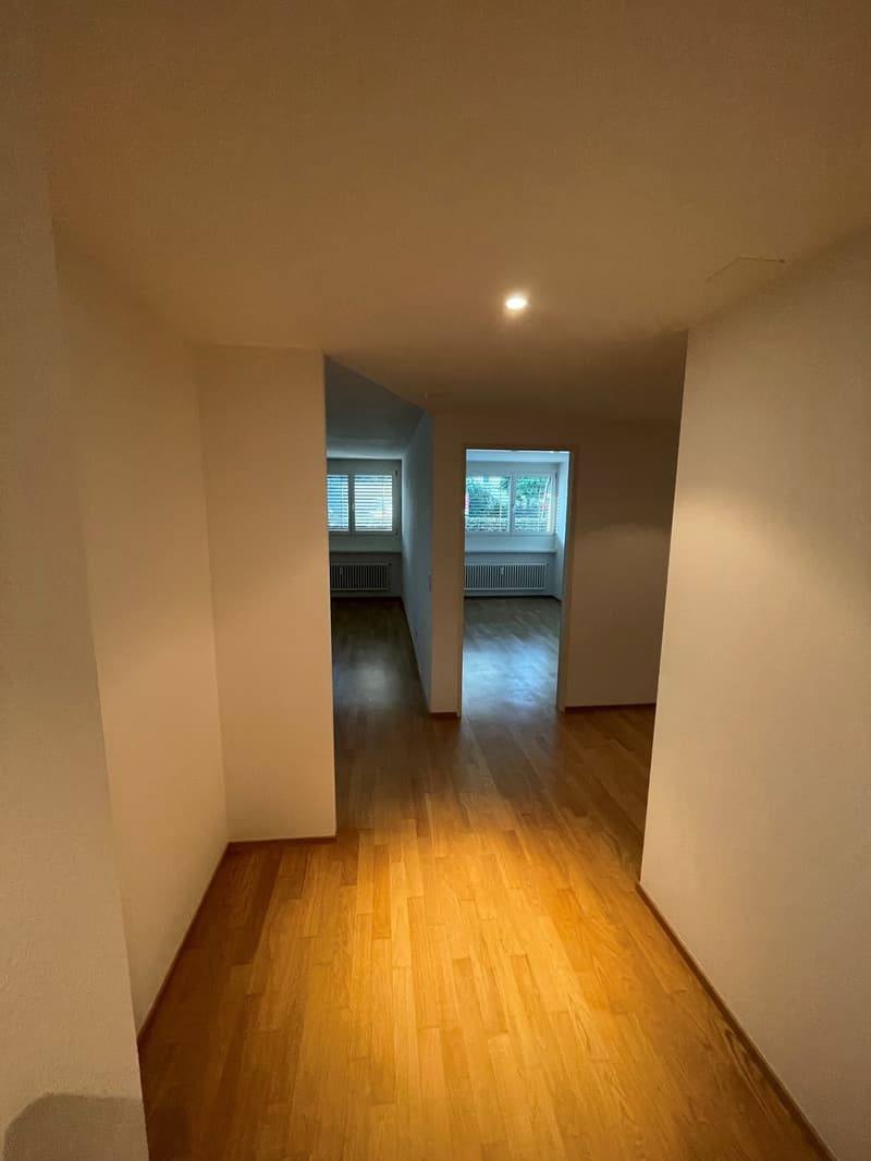 Vielseitig nutzbar – ideal als zentrale Wohnung oder Büroräumlichkeiten (2)