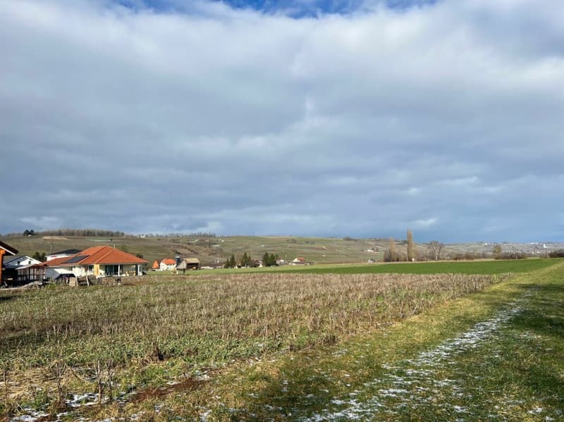 Maison unifamiliale avec vue sur les vignobles (14)