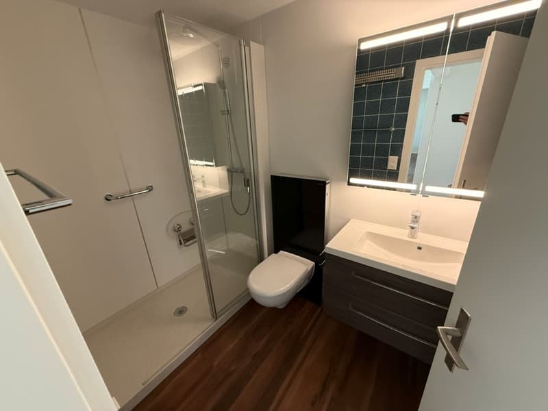 Erstbezug nach Sanierung: Charaktervolle 4.5-Zimmer-Maisonette-Wohnung mit Wintergarten und Galerie (5)