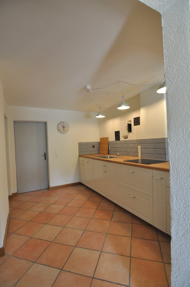 möblierte 3.5 Zi. Wohnung, NK inkl. an idyllischer, ruhiger Lage (9)