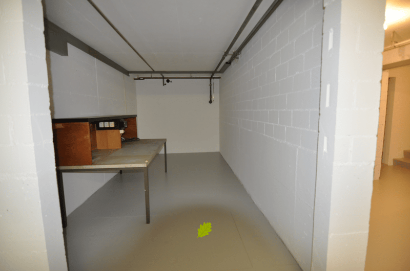 5.5 Zimmer Einfamilienhaus in ruhigem Wohnquartier (14)