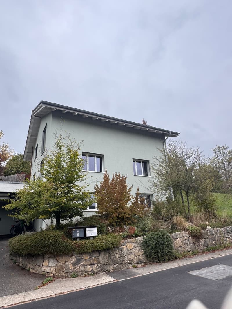 Gemütliches Studio im Erdgeschoss in Brugg (5)