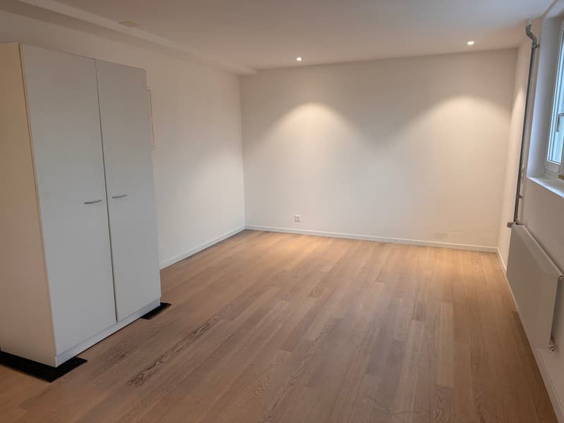Gemütliches Studio im Erdgeschoss in Brugg (3)