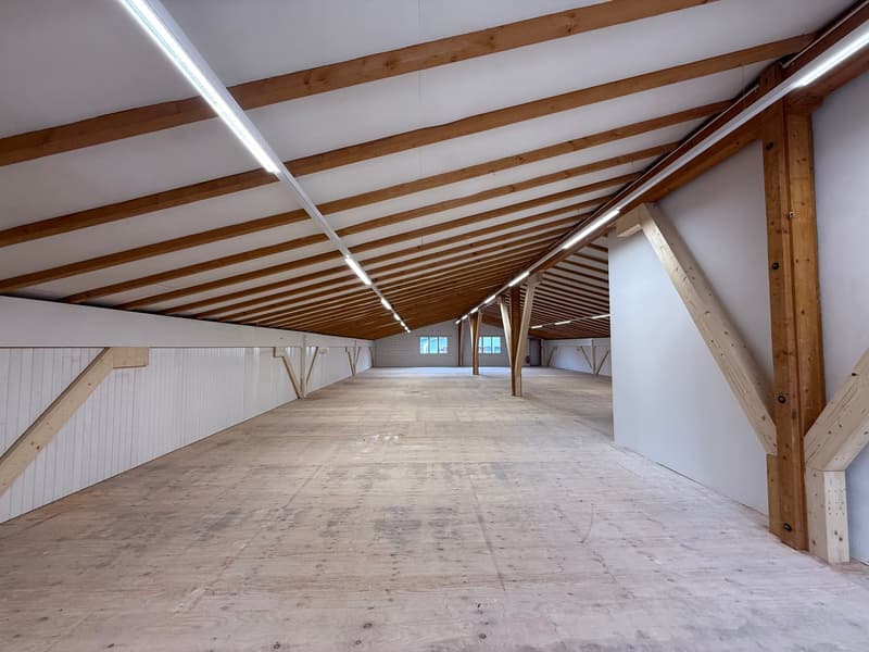 spacious room with wooden beams, wooden flooring, white walls, ceiling lights