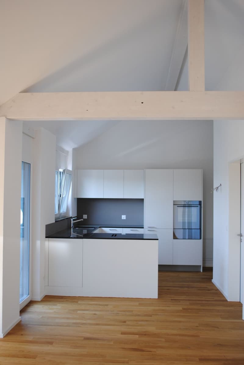Neubau Dachwohnung mit Aussicht Im Holz (1)