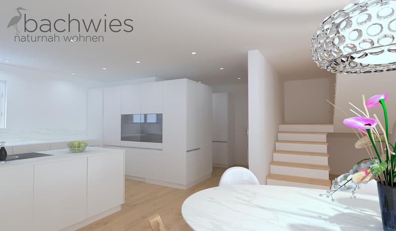 NEUBAU 6 tolle, grosszügige EFH bis zu 8.5 Zimmern nach Wunsch (7)