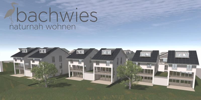 NEUBAU 6 tolle, grosszügige EFH bis zu 8.5 Zimmern nach Wunsch (1)