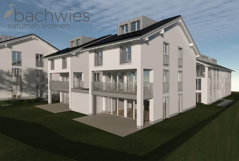 NEUBAU 6 tolle, grosszügige EFH bis zu 8.5 Zimmern nach Wunsch (11)